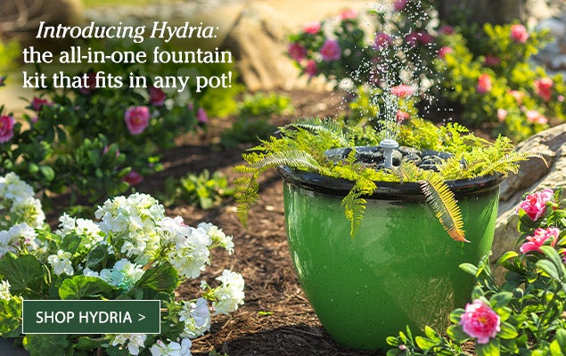 Image of Hydria Fountain in planter with plants. Introducing Hydria: the all-in-one fountain kit that fits into any pot! - SHOP HYDRIA
