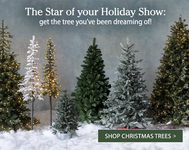 The star of your holiday show: get the tree you’ve been dreaming of! SHOP CHRISTMAS TREES>