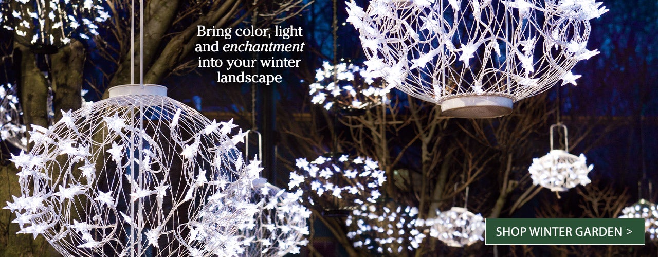 Bring color, light and enchantment into your winter landscape