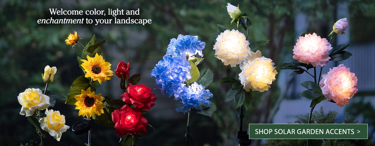 Welcome color, light and enchantment to your landscape
Shop solar garden accents >
