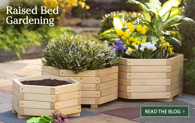 Image of a set of three wooden hexagon garden planters with flowers. Learn more about Raised Bed Gardening