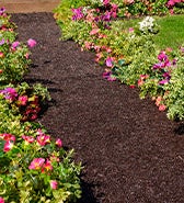 Image of a permanent mulch garden path. Read more about Permanent Mulch Gardening Solutions