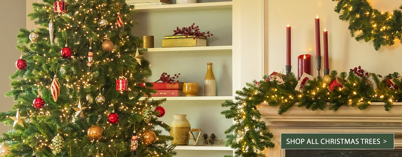 Shop all Christmas Trees >