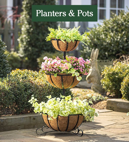 Image of Irered planter with coco liners. Planters and Pots