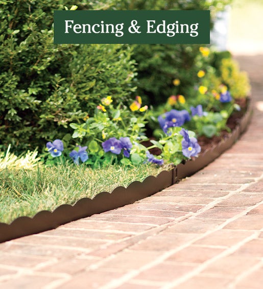 Image of 3 inch heigh edging. Fencing and Edging