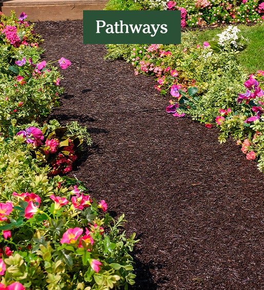 Image of Permanent Mulch Recycled Rubber Pathway. Pathways