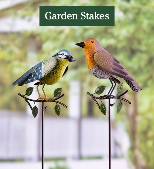 Image of Metal Bird Garden Stakes, Set of 2. Garden Stakes