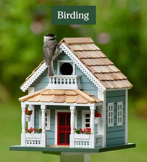 Image of Welcome Home Wooden Birdhouse. Birding