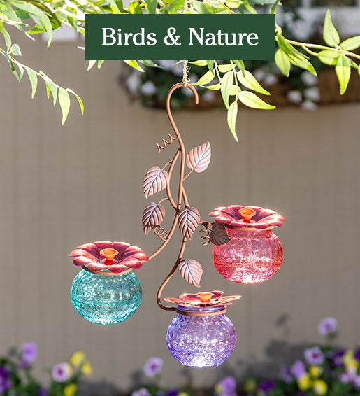 Image of Three Bulb Hummingbird Feeder Birds and Nature