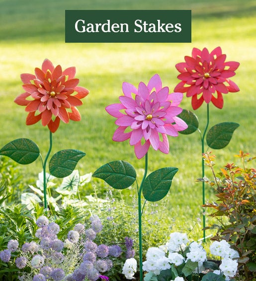 Image of Dahlia Stake. Garden Stakes