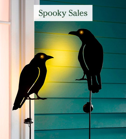 Image of Solar Crow Garden Stakes at night. Halloween Sale