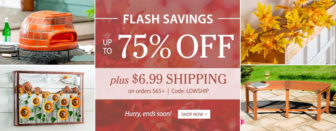 Flash Savings up to 75% off + $6.99 Shipping on orders of $65 use code LOWSHIP