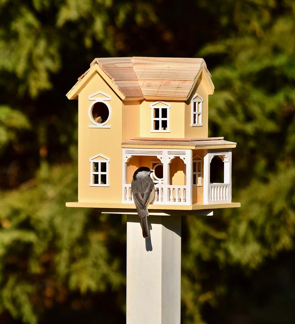 orange birdhouse with porch