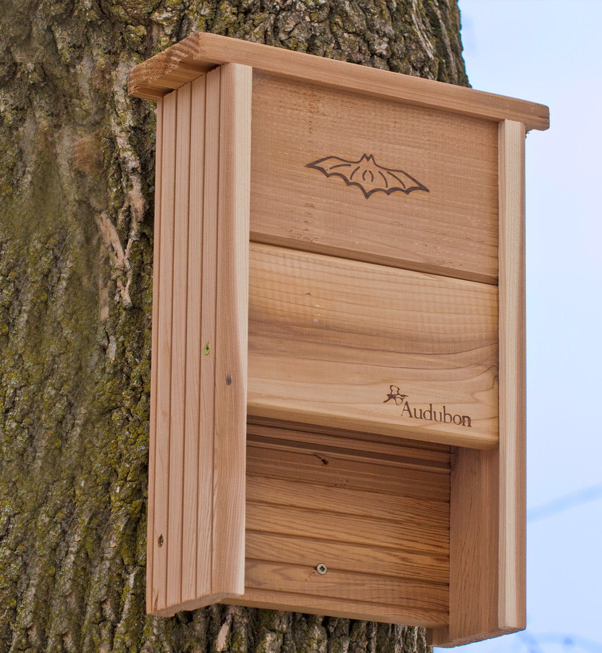 bat house