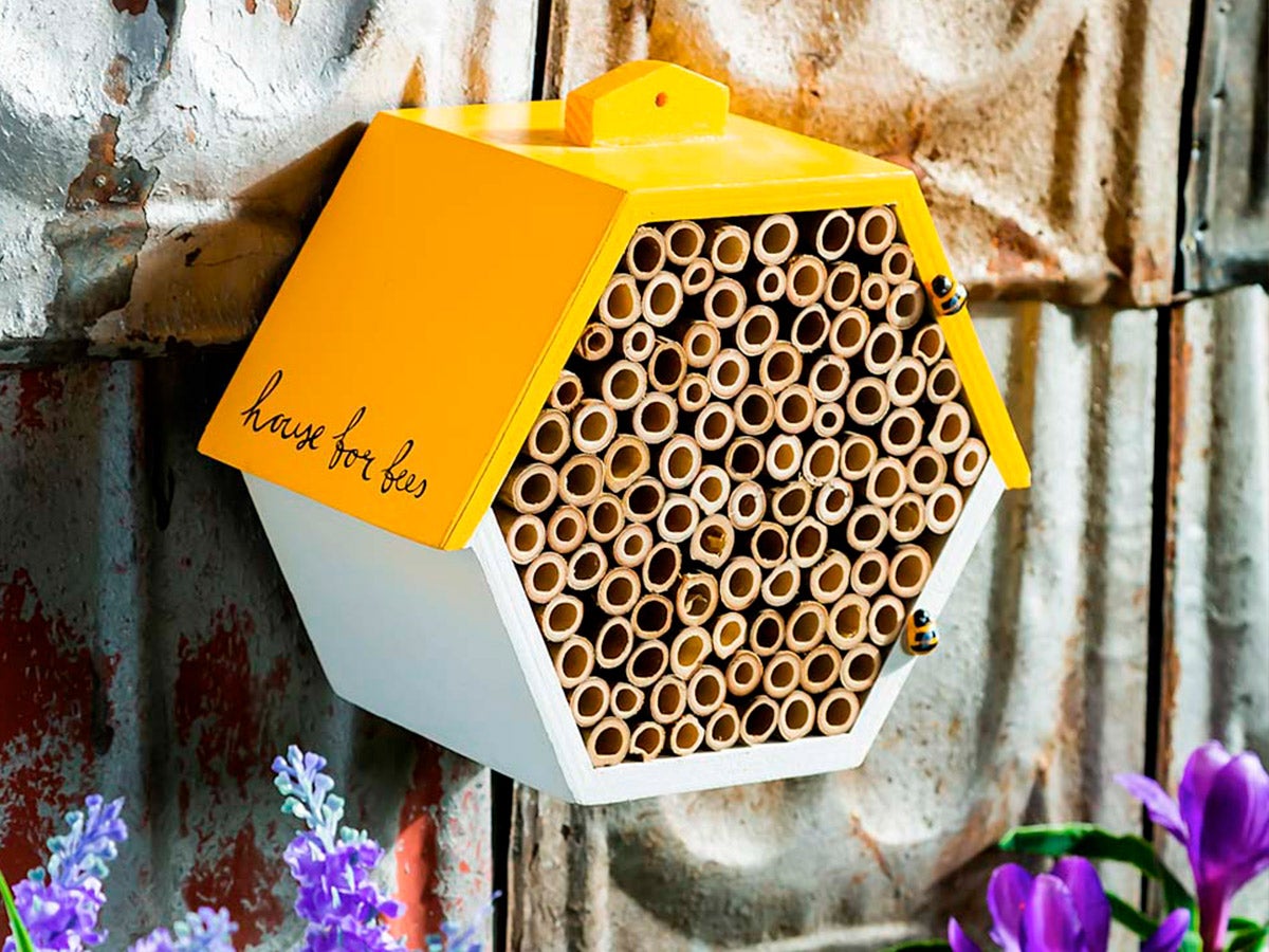 bee house