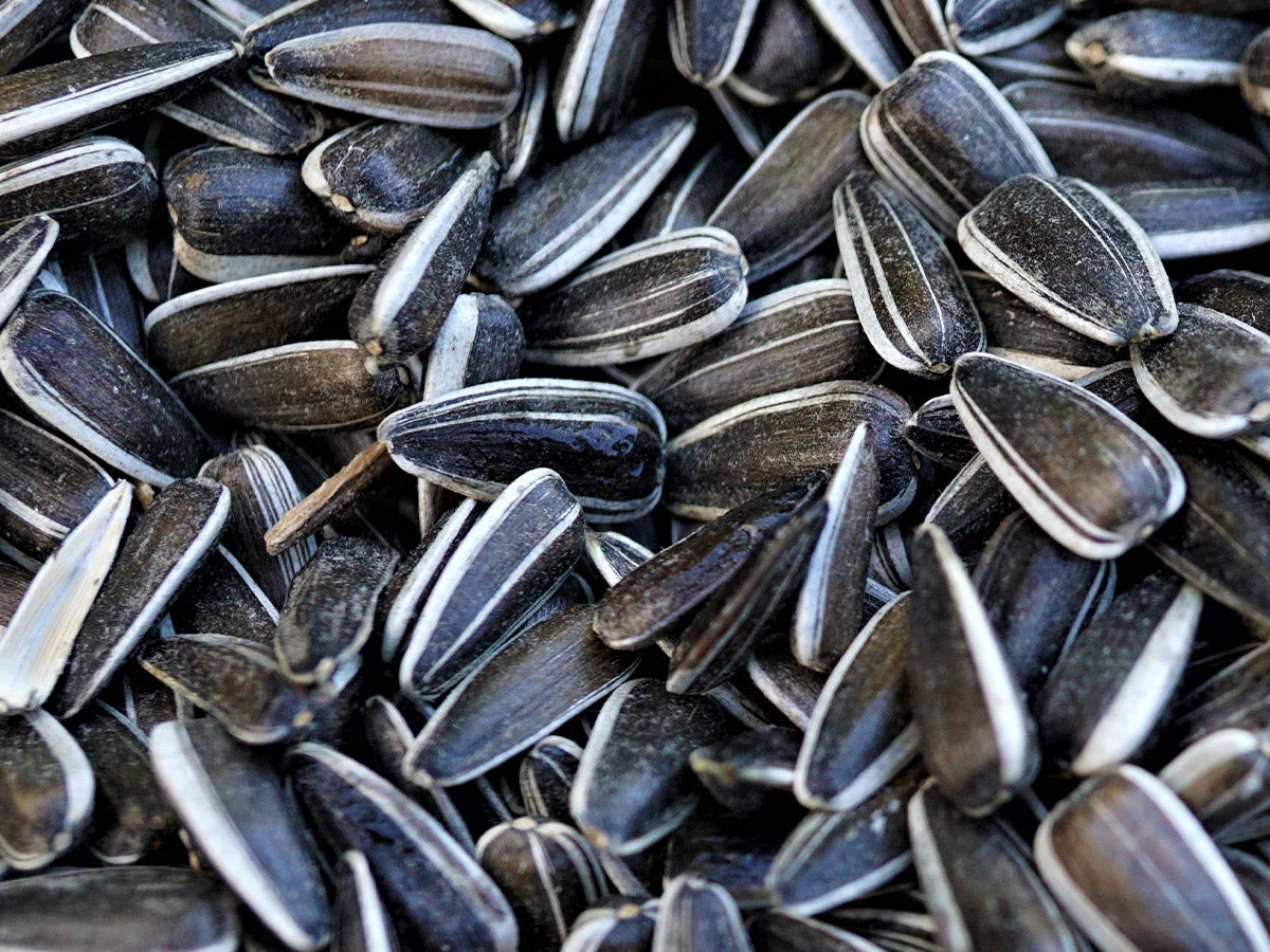 sunflower seeds