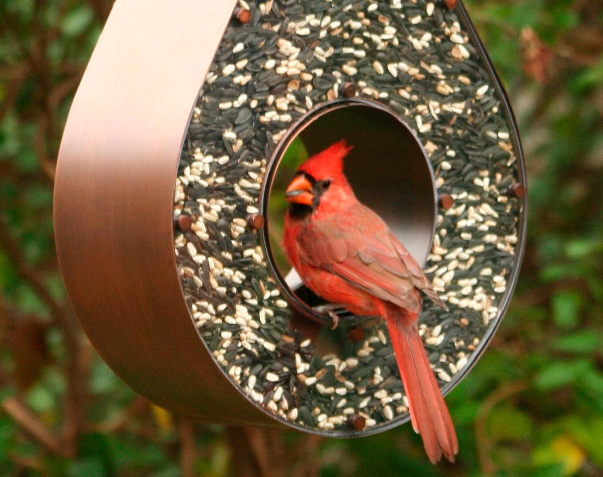Copper Tear Drop Bird Feeder with cardinal