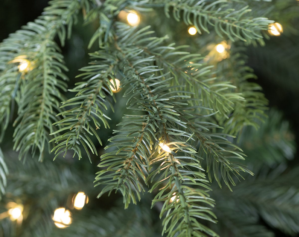 close-up of lights on christmas tree