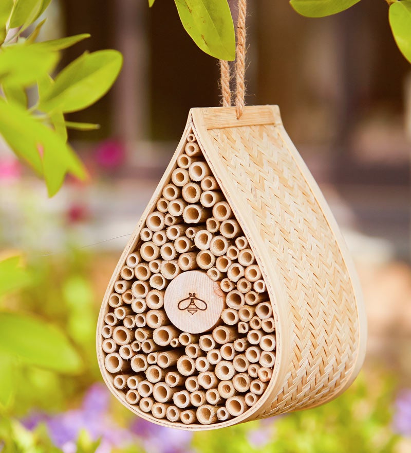 bamboo bee house