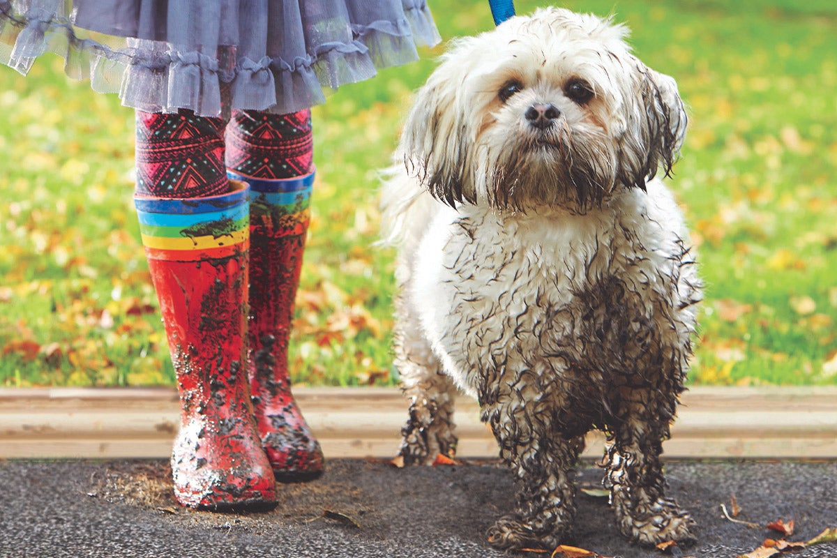 Cotton/Microfiber My Mat Dirt Trapping Mud Rug