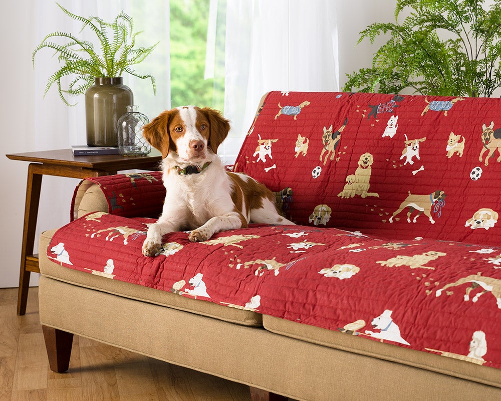 Protective Pet Sofa Cover, Dog Park Design