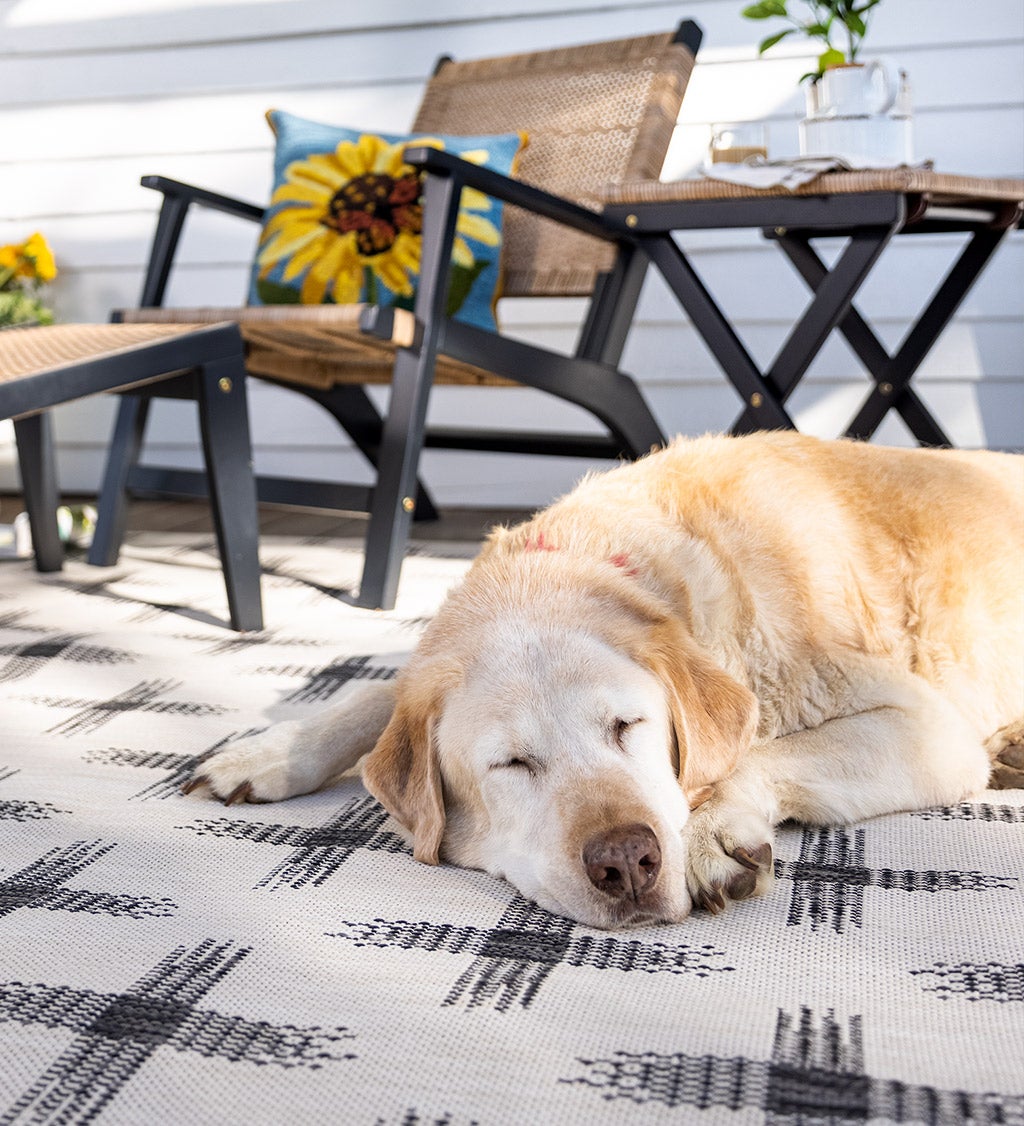 dog laying on outdoor rugs
