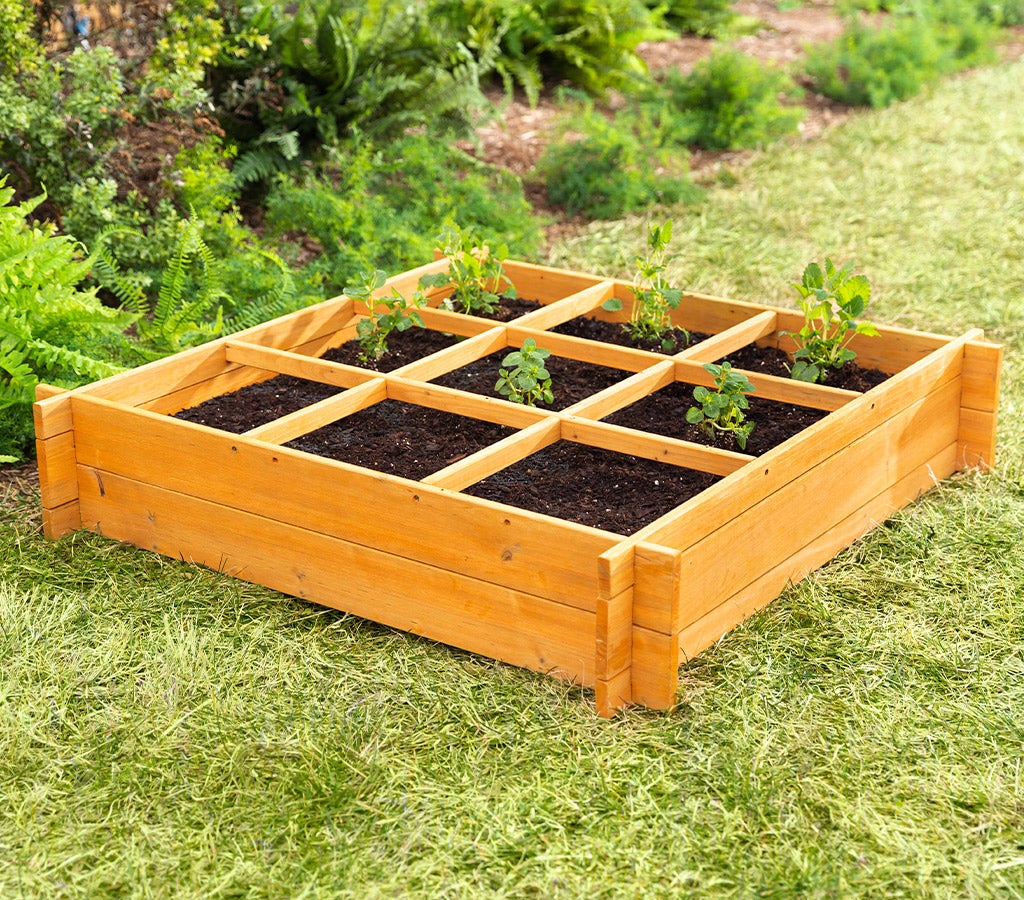 raised garden bed