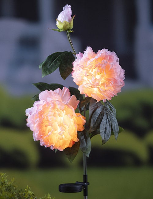 Light Pink Peony Solar Garden Stake