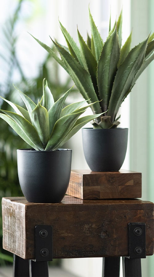 Large Faux Real Agave Plant