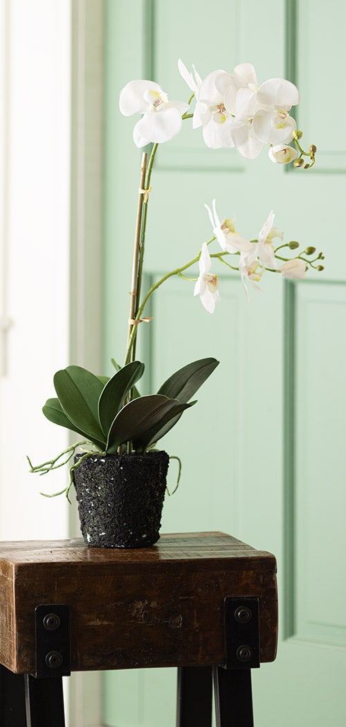 Faux Real White Orchid Artificial Plant