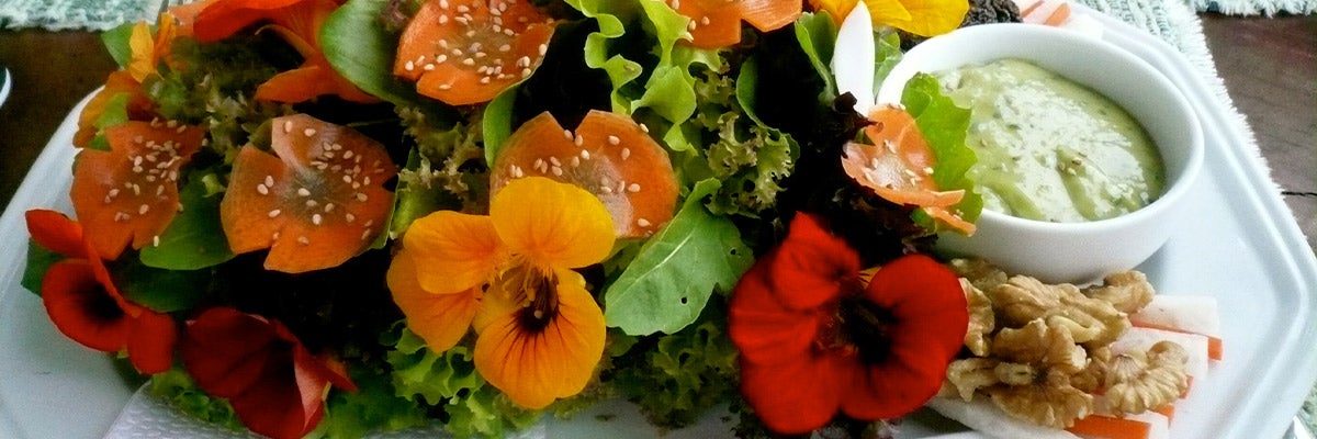 Nasturtium Salad