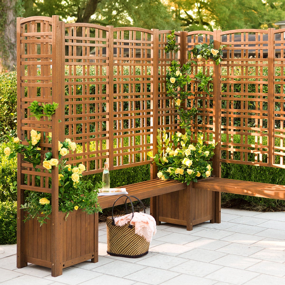 Arbors and Trellises