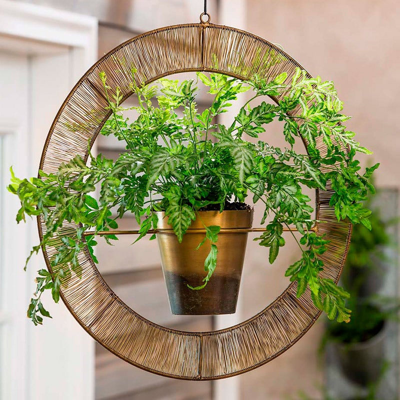 hanging planter with ivy
