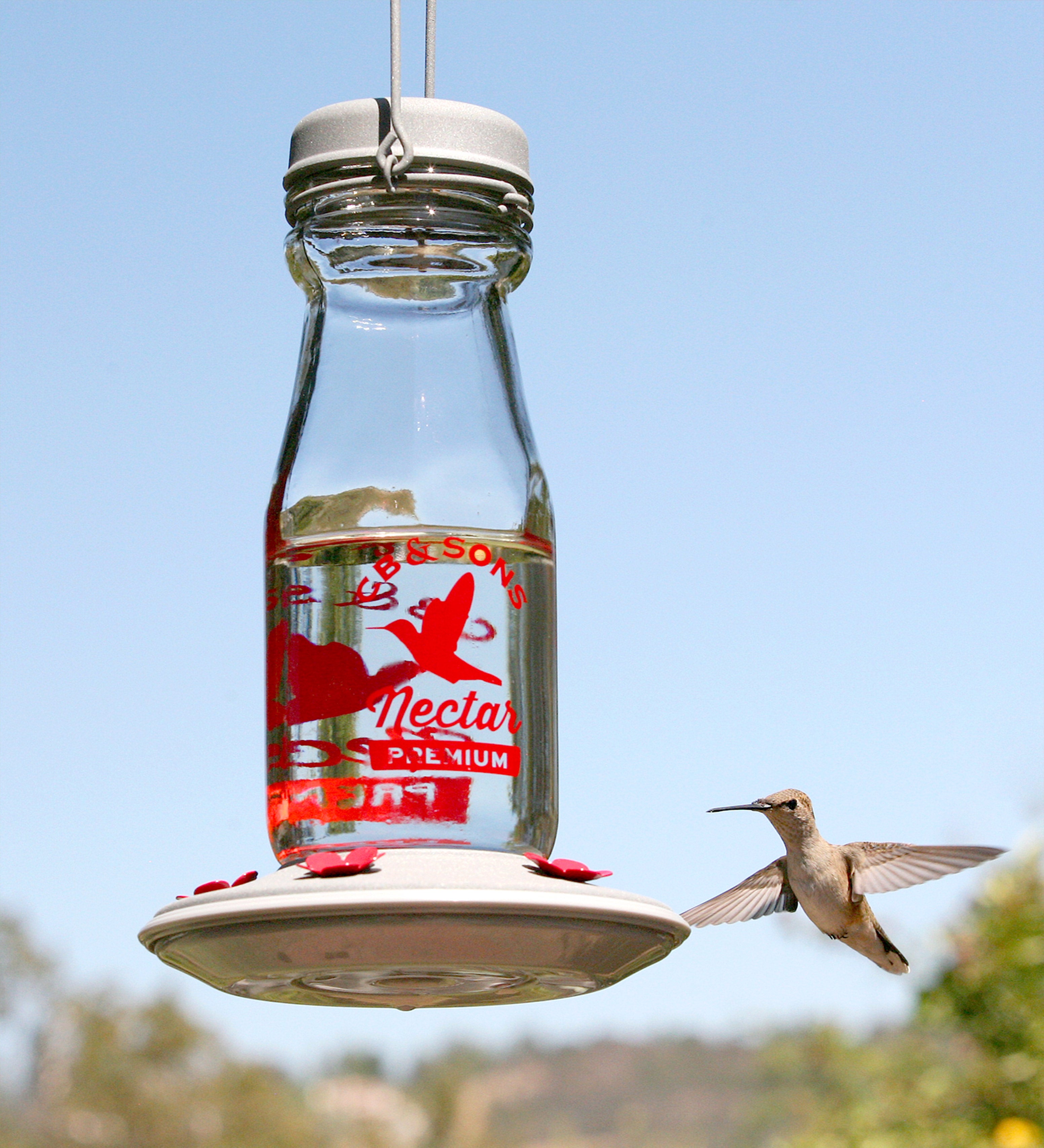 Vintage Milk-Bottle Style 18-Ounce Jersey Hummingbird Feeder