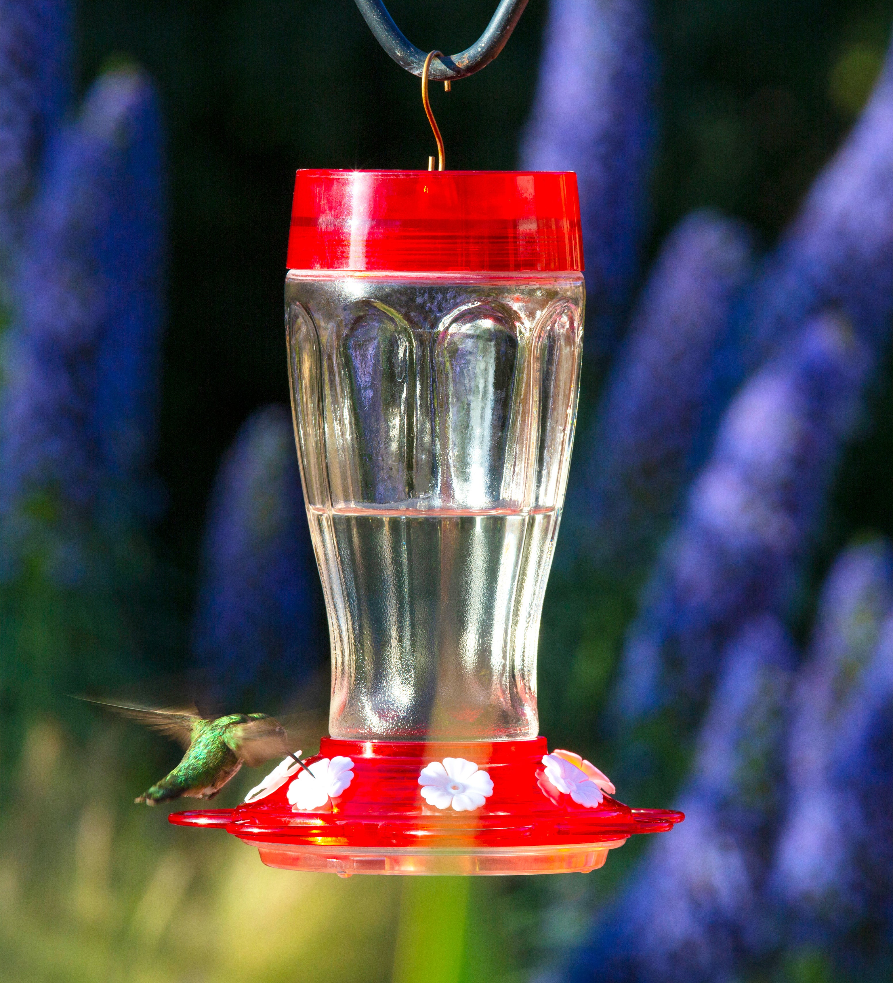 Jumbo 40-Ounce Hanging Hummingbird Feeder