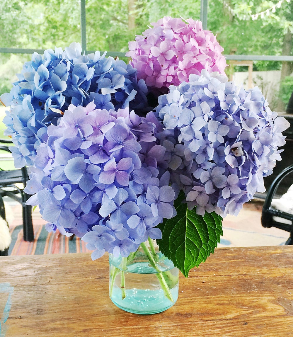 small bouquet of hydrangeas on table