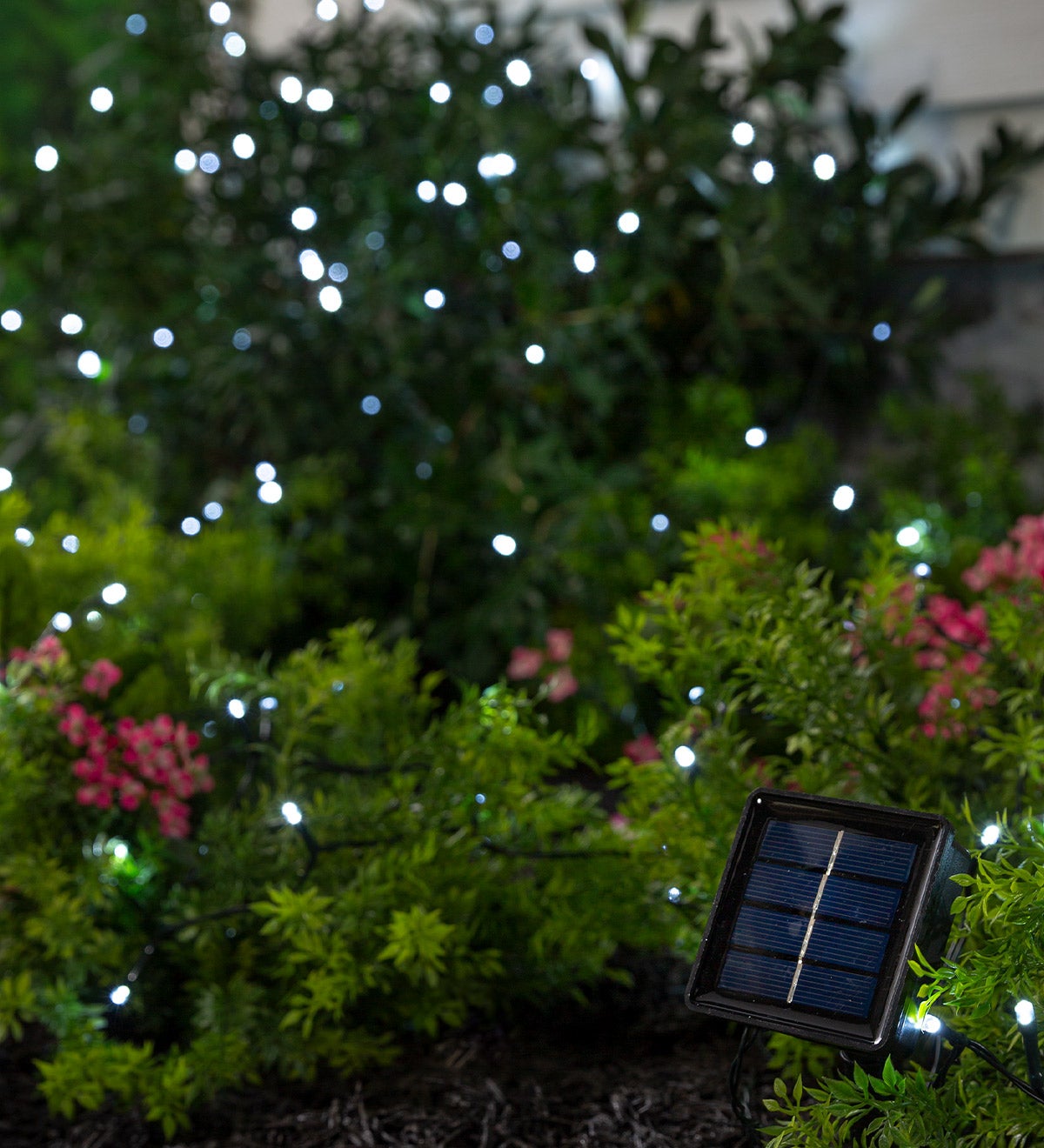 White LED Solar String Lights