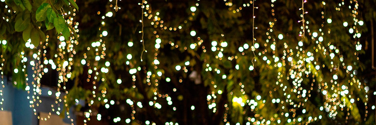 lighted trees backyard