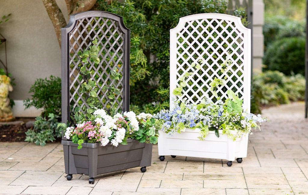 Planter With Trellis And Self-Watering Reservoir