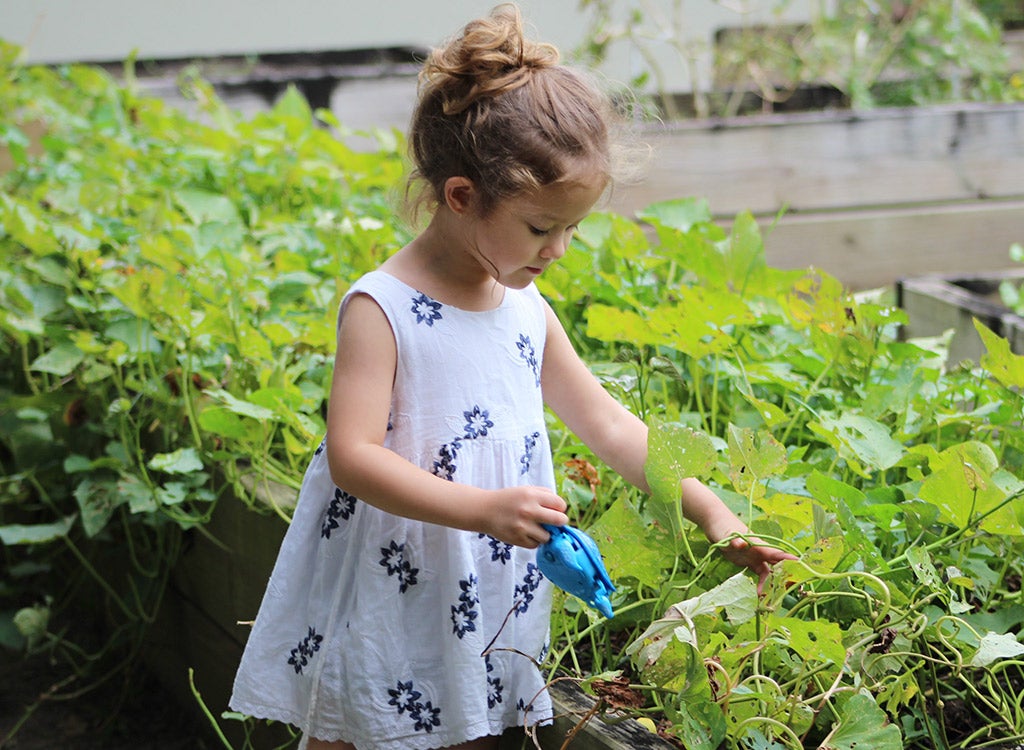 child watering plants