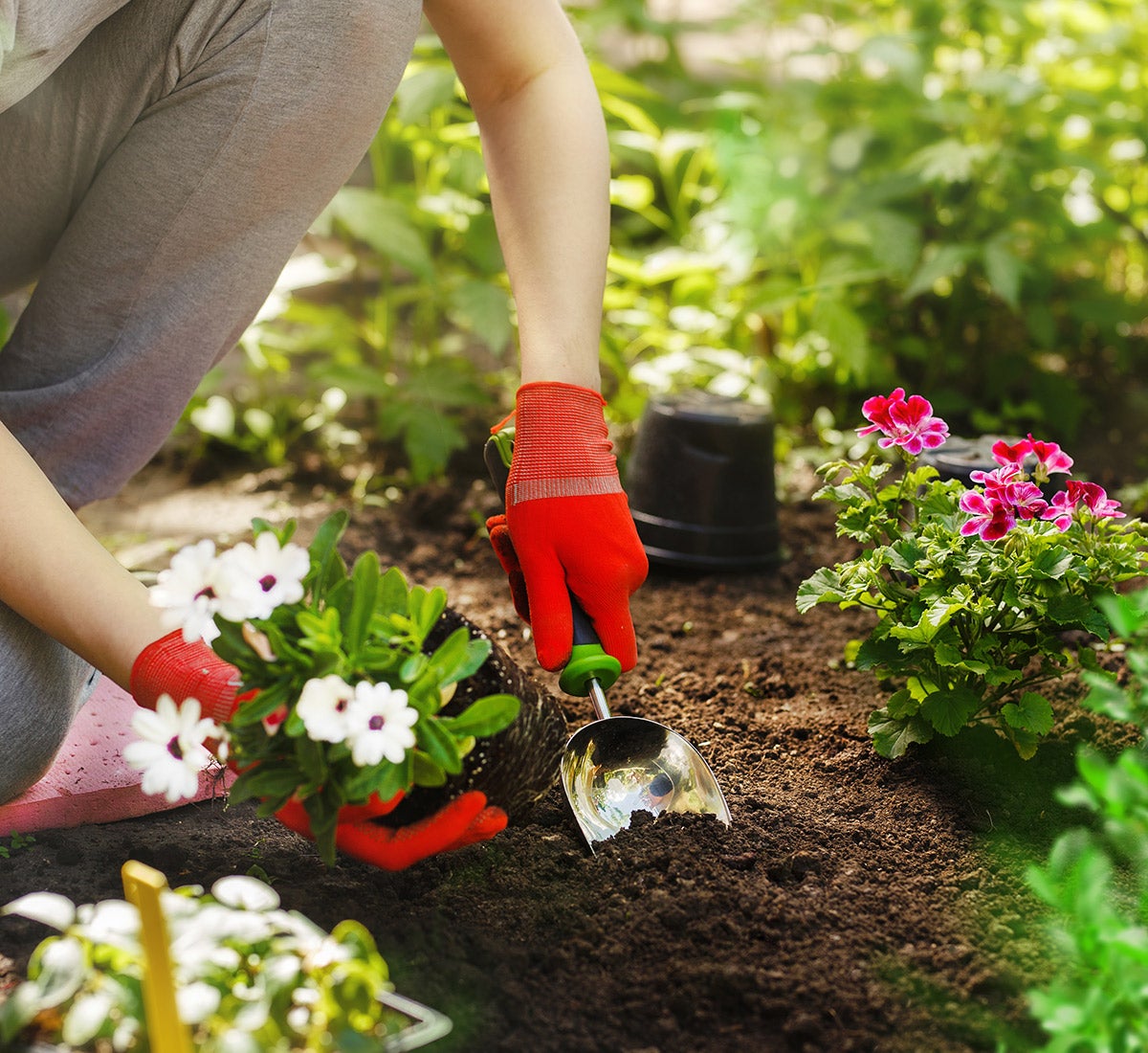 gardening