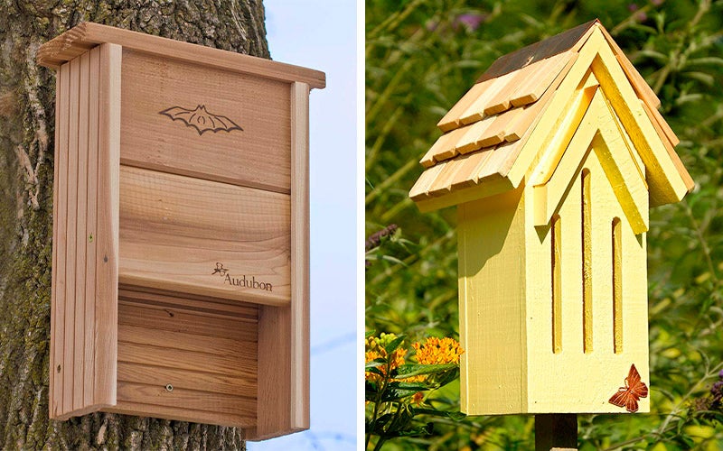 bee and bird houses