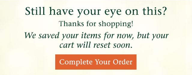 We saved your items for now, but your cart will reset soon. Complete Your Order>>