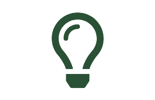 Lightbulb icon representing Bulb Color and Brightness