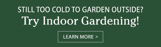 Still too cold to garden outside? Try indoor gardening! Click to learn more >