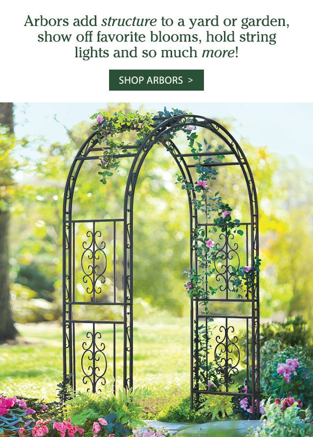 Arbors add structure to a yard or garden, show off favorite blooms, hold string lights and so much more!