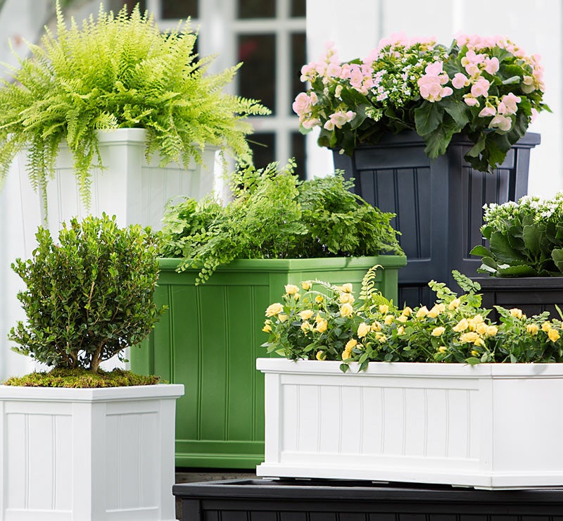 planters