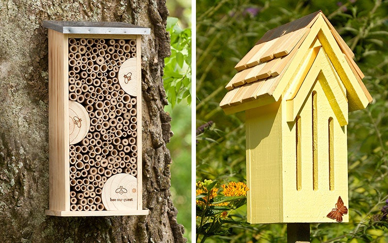 bee and bird houses